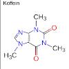 Ikon
