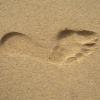 Ikon